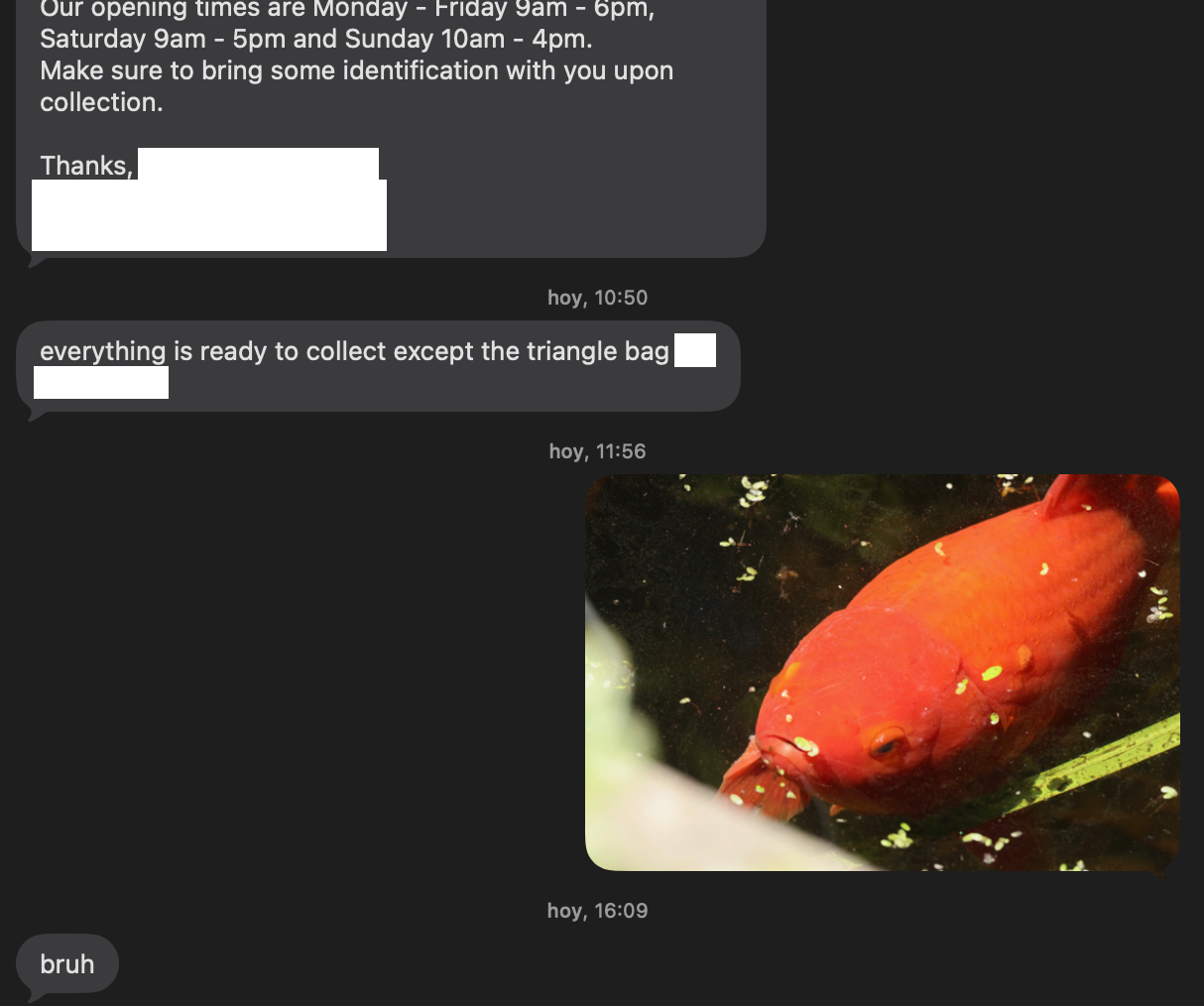 Cropped and redacted screenshot of an SMS conversation. One side starts with “Our opening times are Monday - Friday 9am - 6pm, Saturday 9am - 5pm and Sunday 10am - 4pm. Make sure to bring some identification with you upon collection. Thanks, (redacted).” Then another message from the same side: “everything is ready to collect except the triangle bag (redacted)”. A reply from the sender: it’s a multimedia message of a highly zoomed, high resolution photograph of a carp. It has a kind of angry expression. The original party (the store/shop?) replies with one word: “bruh”