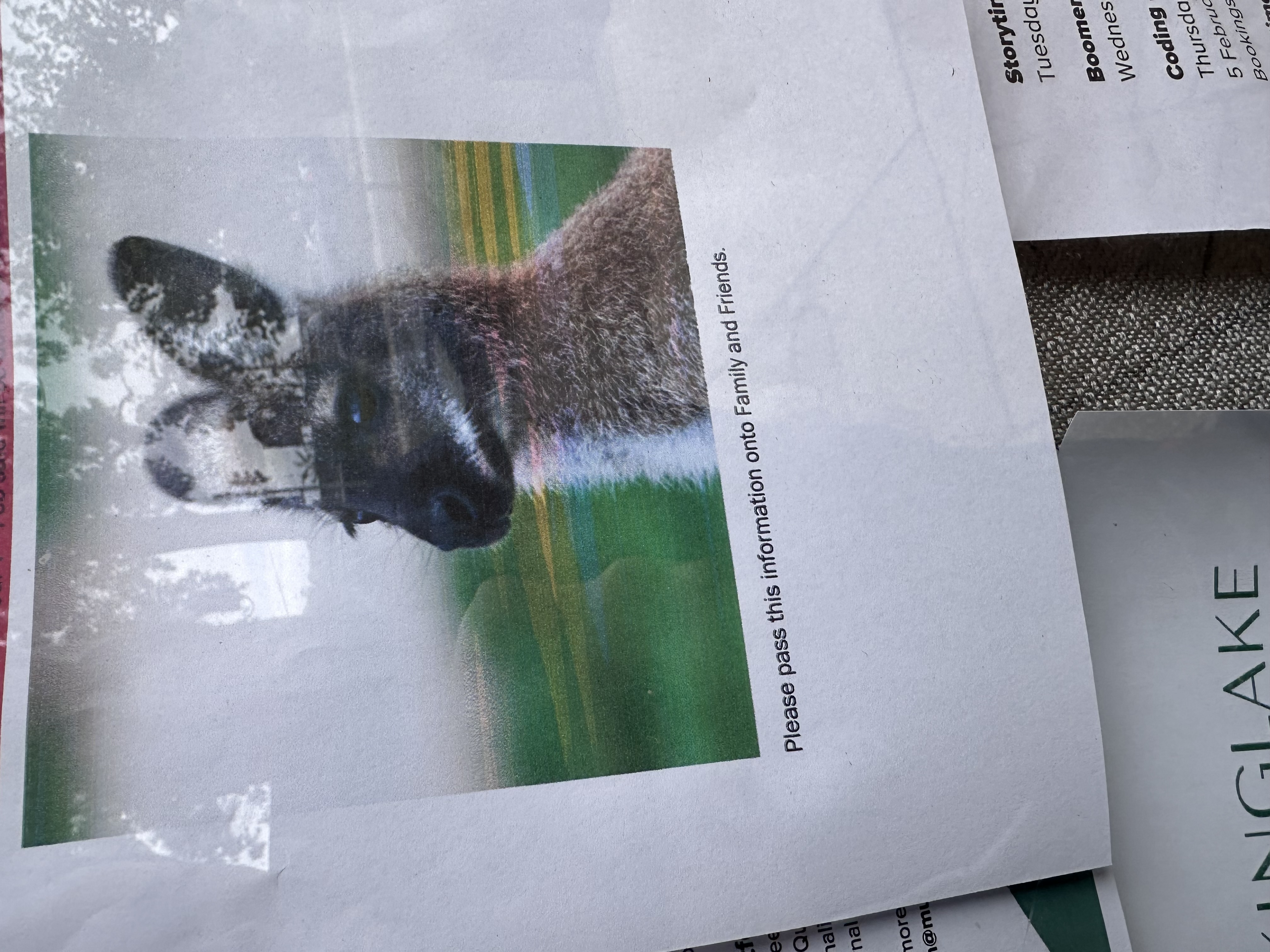 photo of a joey with the caption “Please pass this information onto Family and Friends”