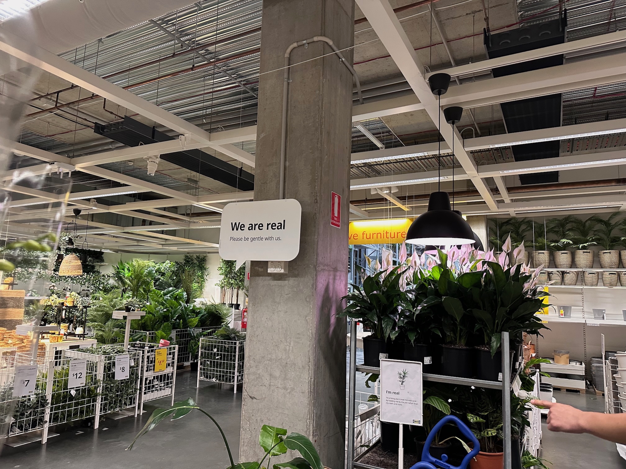 Photo from the plant section of an IKEA. There’s a sign above a part of the section which says: “We are real.”, with smaller text: “Please be gentle with us.”